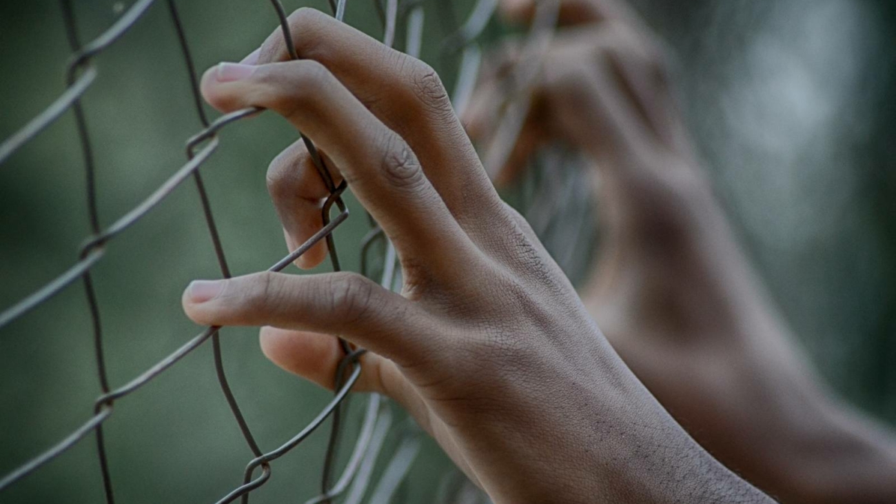 fence21639511920jpg_5d446aa27d409