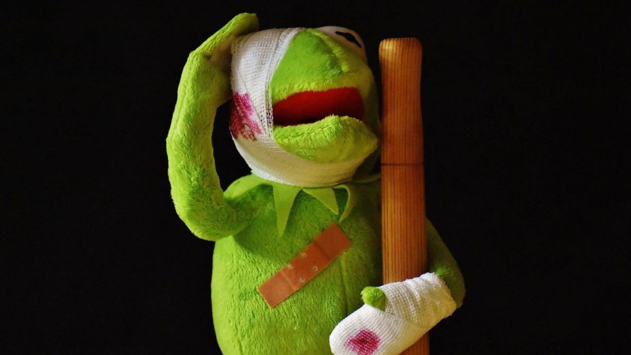 kermit20012191920jpg_5e3f2044c42bd
