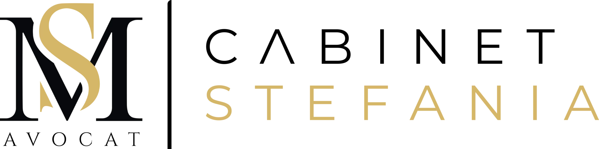 Logo Stefania Avocat noir fond transparent